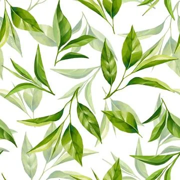 Seamless pattern with green tea leaves. Floral background. Seamless patter... Stock Photos
