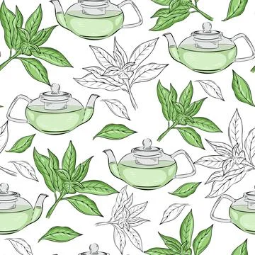 Seamless pattern with green tea. Tea leaves and teapot, vector. Illustrazione stock