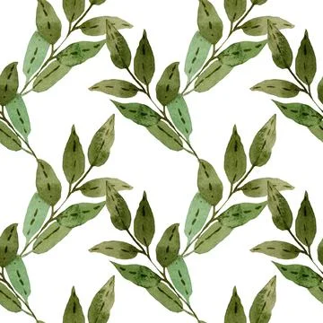 Seamless pattern of green tree branch hand drawn watercolor. Botanical backgr Stock-Illustration