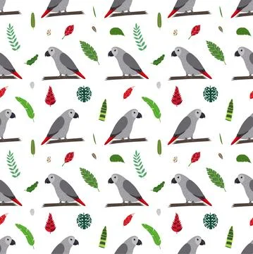 Seamless pattern with grey african parrots Jaco and tropical leaves and flowers Illustrazione stock