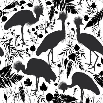 Seamless pattern Grey crowned crane, Black crowned crane with grass and flowe Stock Illustration