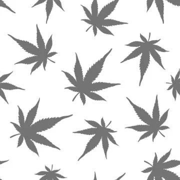 Seamless pattern of grey hemp on a white background. A sample of marijuana. 库存插图