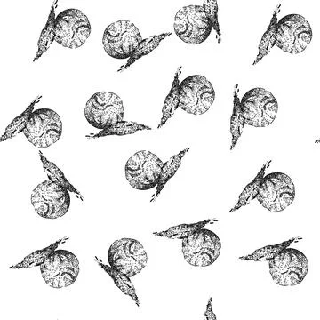 Seamless pattern ground nutmeg spice sketch hand drawn Stock Illustration