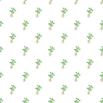 Seamless pattern with growing green plant seedlings and roots Illustrazione stock