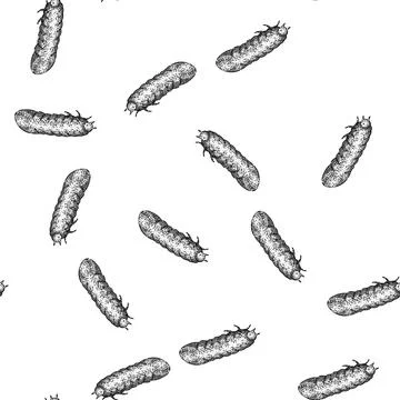 Seamless pattern grub chafer sketch hand drawn 스톡 일러스트