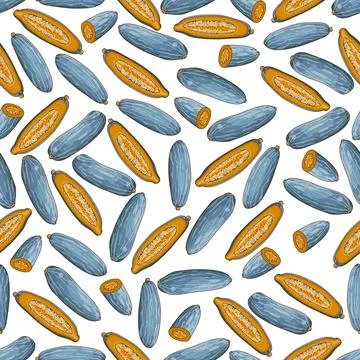 Seamless pattern with Guatemalan Blue squash. Stockillustratie