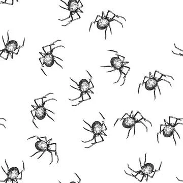 Seamless pattern halloween spider sketch hand drawn Stock Illustration