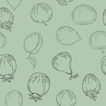 Seamless pattern. Hand drawing sketch fruits Stock Illustration