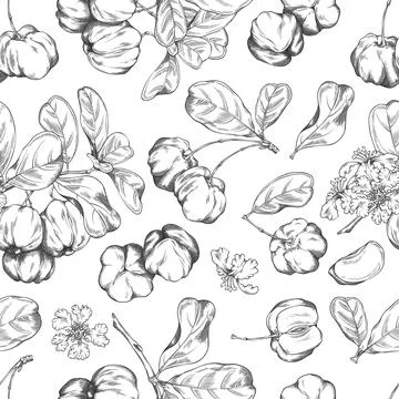 Seamless pattern with hand-drawn acerola, leaves, and flowers. Illustrazione stock