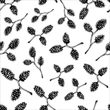 Seamless Pattern With Hand Drawn Alder Cones Stock Illustration