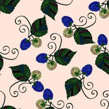 Seamless pattern with hand drawn blackberries Stock Illustration