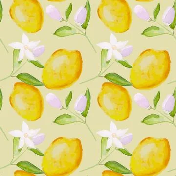 Seamless pattern with hand drawn blooming lemon tree branches and lemons Stock Illustration