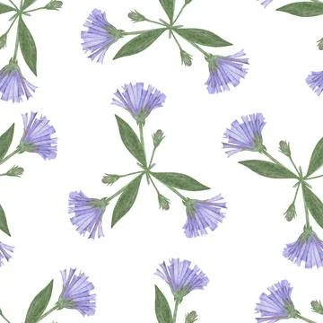 Seamless Pattern with Hand Drawn Blue Flowers. Illustrazione stock