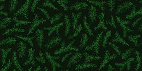Seamless pattern with hand-drawn branches of spruce, pine, fir Stock Illustration