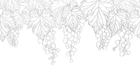 Seamless pattern with hand drawn bunch of grapes Seamless pattern with han... Foto stock