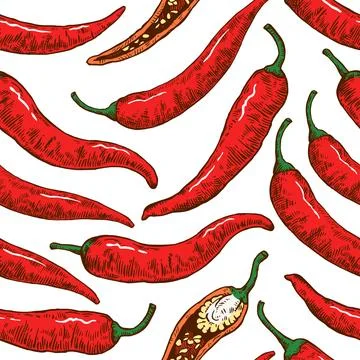 Seamless pattern with hand drawn chili peppers. Vector illustration in engr.. Stock Illustration