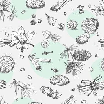 Seamless pattern with hand drawn Christmas winter spices Stock Illustration