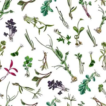 Seamless pattern with hand drawn colorful micro-green sketch style Stock Illustration