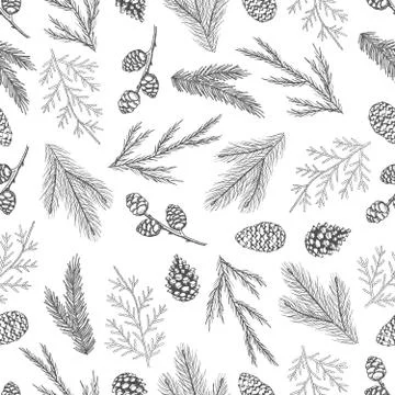 Seamless pattern with hand drawn cones,xmas tree. Christmas vector illustration. Stock Illustration