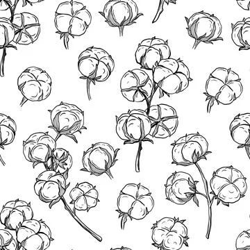 Seamless pattern with hand drawn cotton plant in engraving style isolated on Stock Illustration