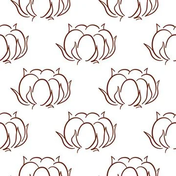 Seamless pattern with hand drawn cotton plant flower in outline style. Botanical Stock Illustration