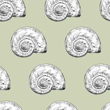 Seamless pattern hand drawn curled shellvector illustration Stock Illustration