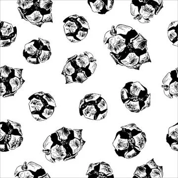 Seamless Pattern With Hand Drawn Cypress Cones Illustrazione stock