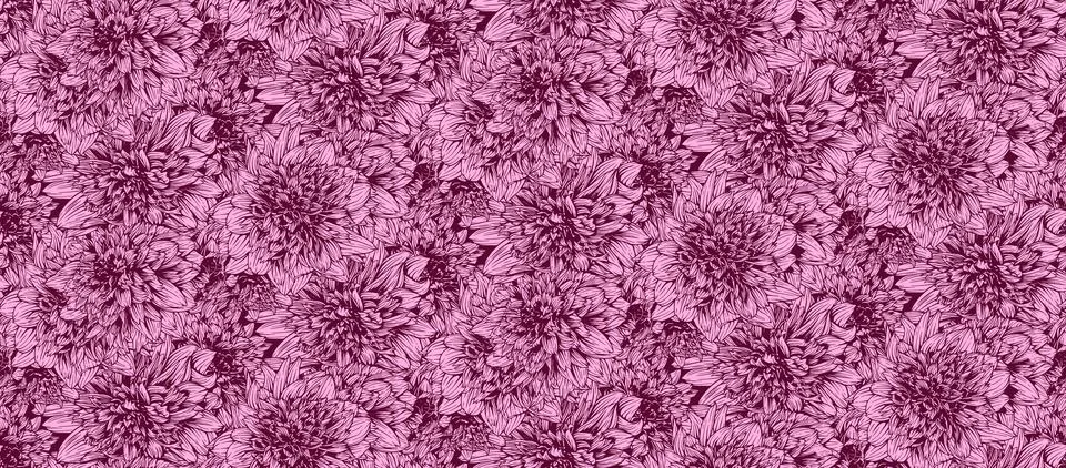 Seamless pattern with hand drawn dahlia mambo flowers. Vector floral illust.. イラスト素材