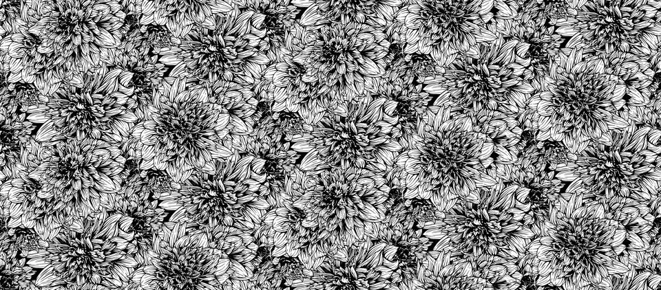 Seamless pattern with hand drawn dahlia mambo flowers. Vector floral illust.. Stock Illustration