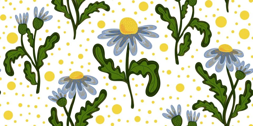 Seamless pattern with hand drawn daisies. Cute autumn floral background, fall Stock Illustration