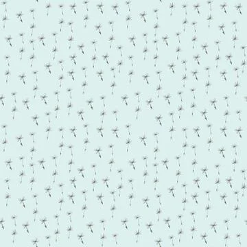 Seamless pattern with hand drawn dandelion seeds on light blue background Stock Photos