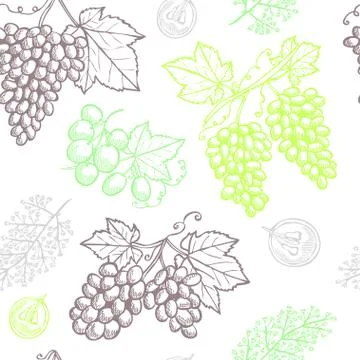 Seamless pattern with hand drawn decorative grapes, design elements イラスト素材
