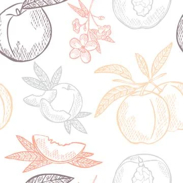 Seamless pattern with hand drawn decorative peach fruits, design elements Stock Illustration