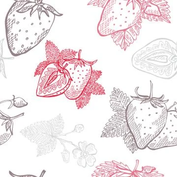 Seamless pattern with hand drawn decorative strawberry fruits, design elements 스톡 일러스트