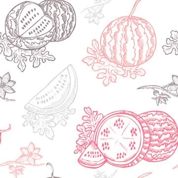 Seamless pattern with hand drawn decorative watermelons, design elements Stock Illustration