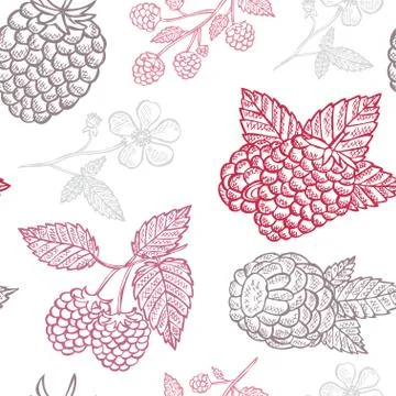 Seamless pattern with hand drawn decorative raspberry fruits, design elements Stock Illustration