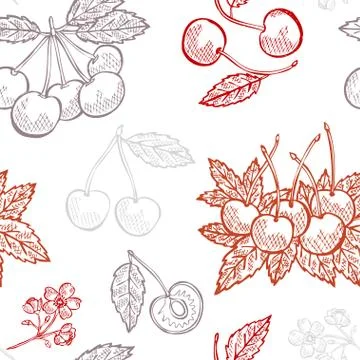 Seamless pattern with hand drawn decorative cherry fruits, design elements Illustrazione stock