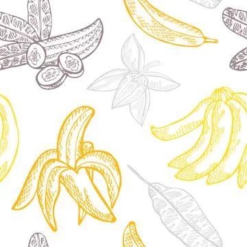 Seamless pattern with hand drawn decorative banana fruits, design elements イラスト素材