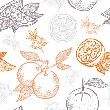 Seamless pattern with hand drawn decorative orange fruits, design elements Illustrazione stock