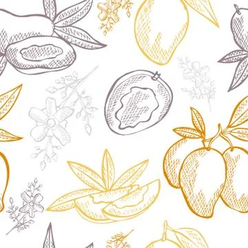 Seamless pattern with hand drawn decorative mango fruits, design elements Illustrazione stock