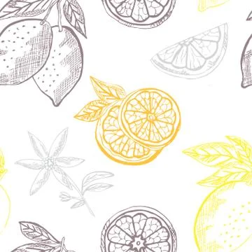 Seamless pattern with hand drawn decorative lemon fruits, design elements 스톡 일러스트