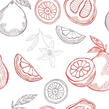 Seamless pattern with hand drawn decorative pomelo fruits, design elements イラスト素材