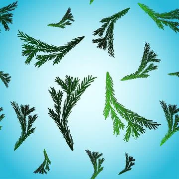 Seamless pattern with hand drawn doodle fir tree branches, colored and isolat Stock Illustration