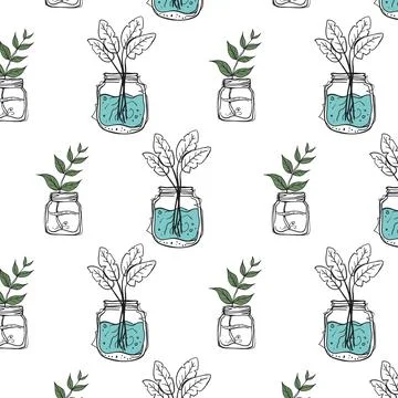 Seamless Pattern Hand Drawn Doodle Plants Rooting in Glass Mason Jars Blue .. Stock Illustration