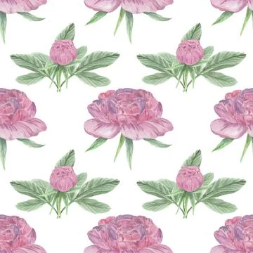 Seamless pattern with hand drawn elements. Floral arrangement with peonies Illustrazione stock