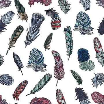 Seamless pattern with hand drawn feathers on white background. Stock Illustration