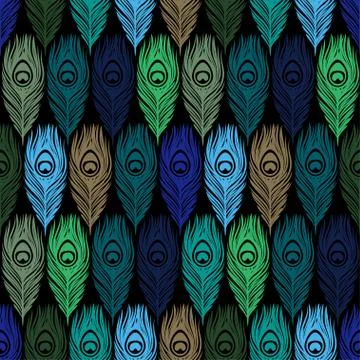 Seamless  pattern with hand drawn feathers peacock Illustrazione stock