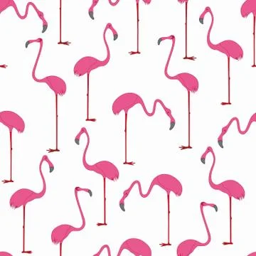 Seamless pattern with hand drawn flamingo. Vector Illustration. 스톡 일러스트