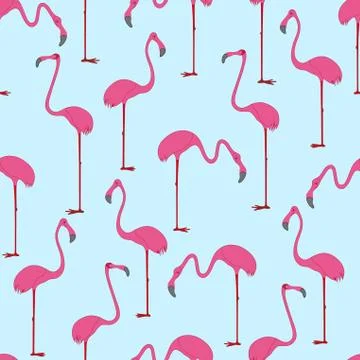 Seamless pattern with hand drawn flamingo. Vector Illustration. Illustrazione stock