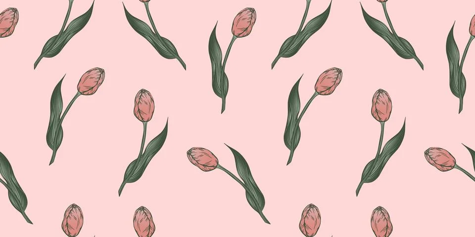 Seamless pattern with hand drawn flower of tulips. Stock Illustration